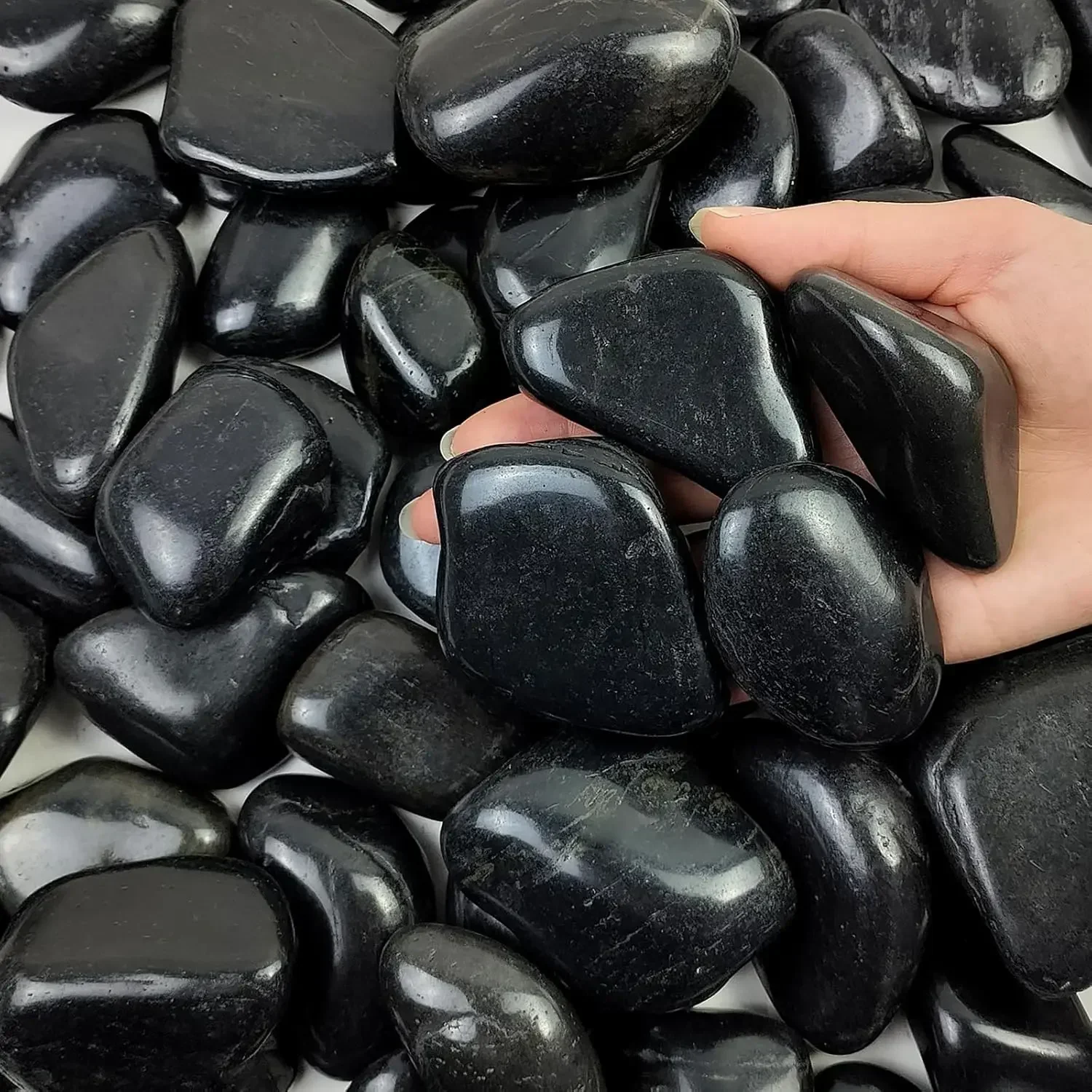 Planted Aquarium With Fish - 40 lbs Black River Rocks for