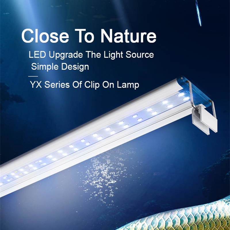 Extensible Waterproof Clip on  - Aquarium Plant Display 评论和价格