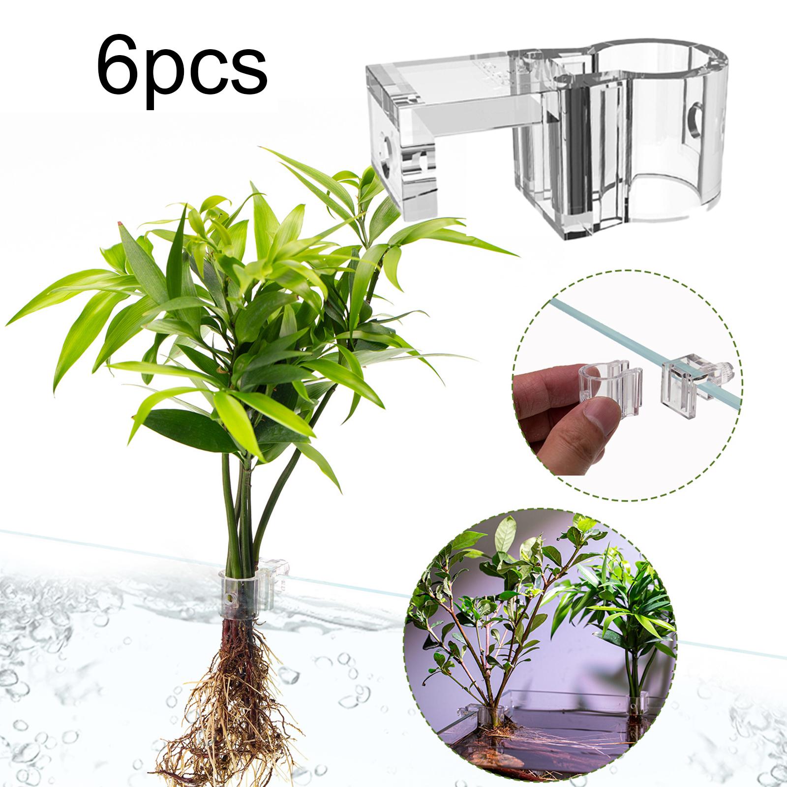 Transparent Aquarium Plant Hol - Aquarium Planted Set Up 评论和价格