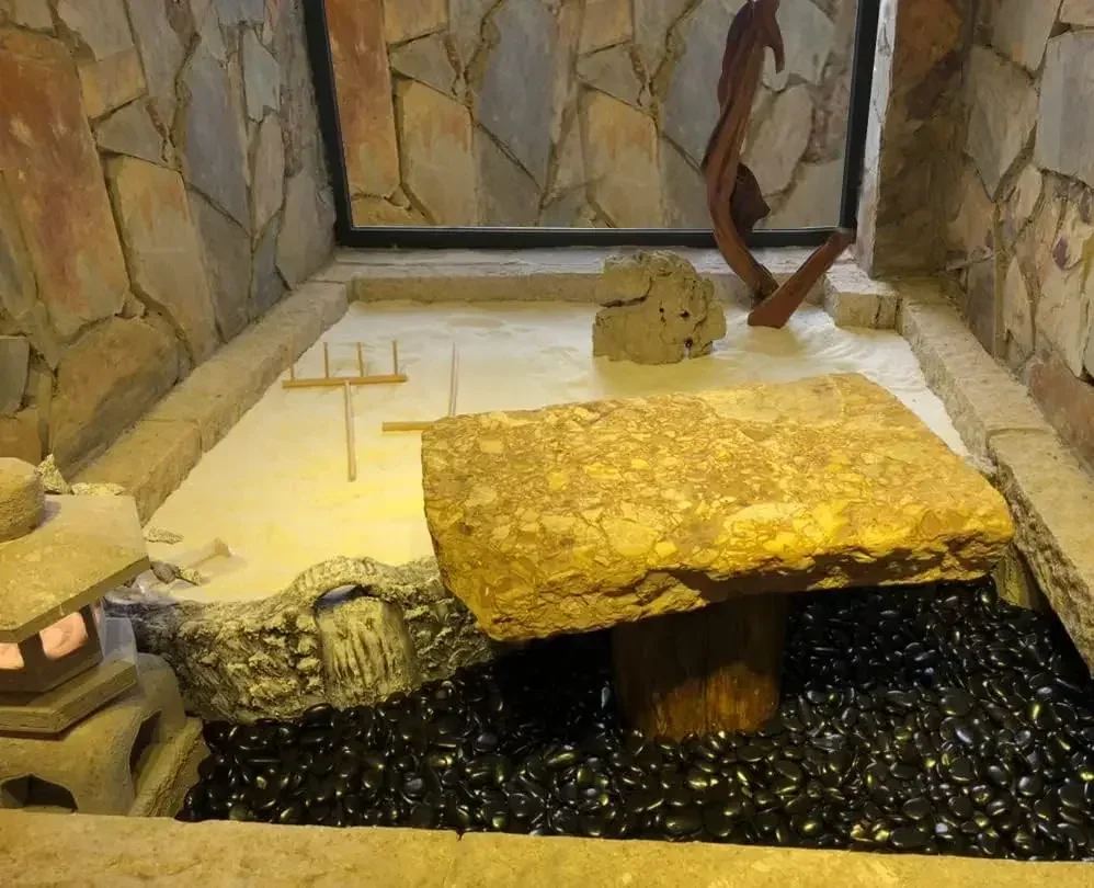 40 lbs Black River Rocks for L - Planted Aquarium With Fish 评论和价格