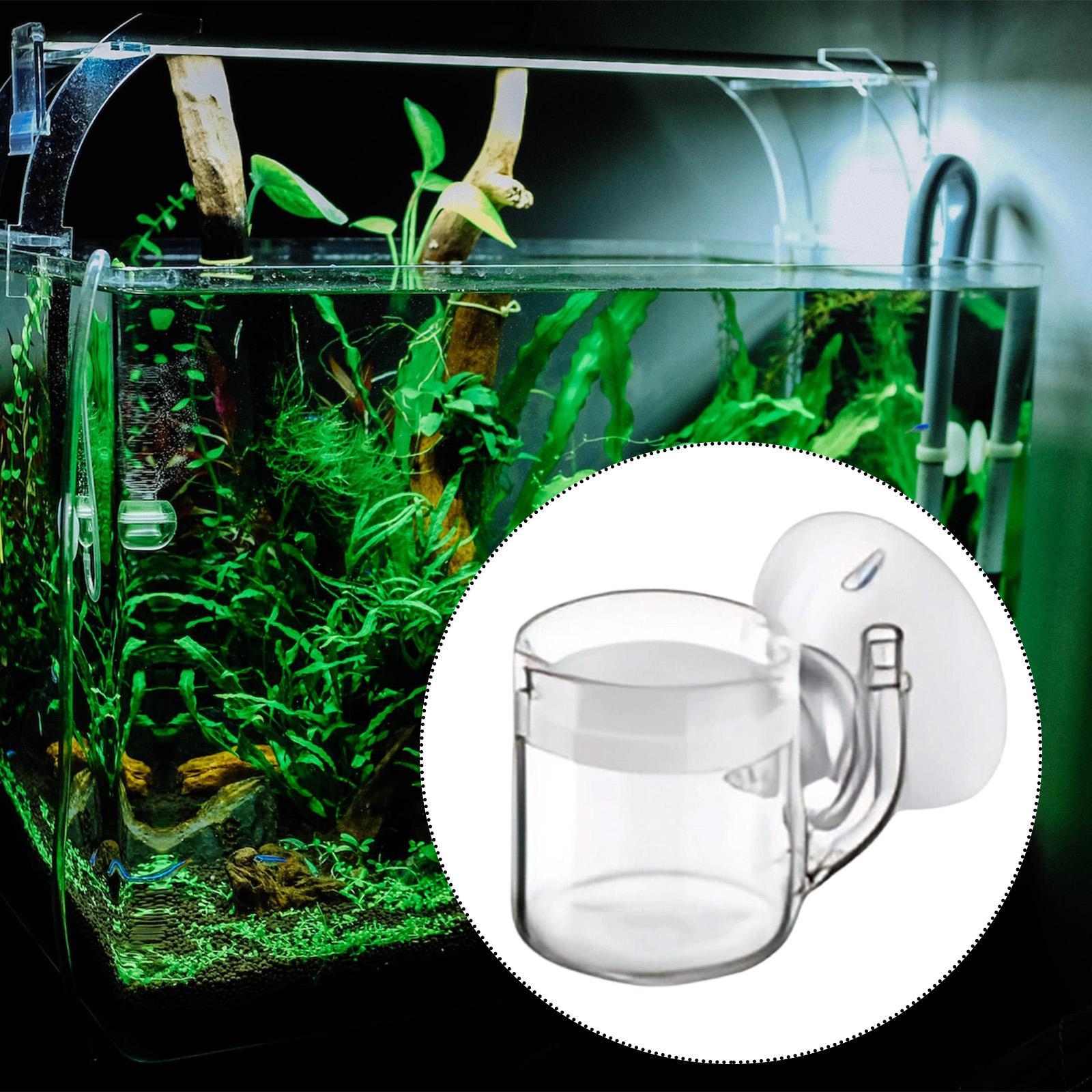 CO2 Aquarium Diffuser Glass Ma - Aquarium Planted Set Up 评论和价格