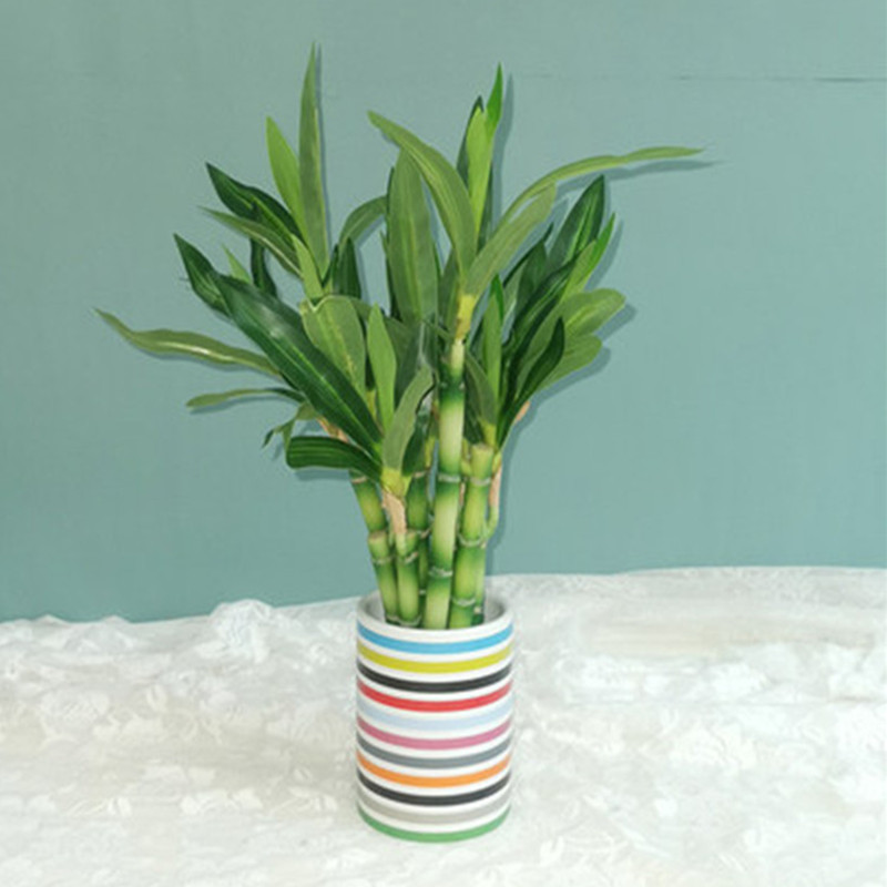 New 40cm Artificial Lucky Bamb - Aquarium Plant Display 评论和价格
