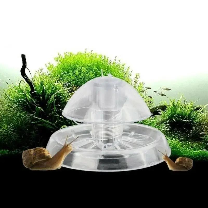 2026 New 6/8CM Clear Plastic S - Planted Aquarium With Fish 评论和价格