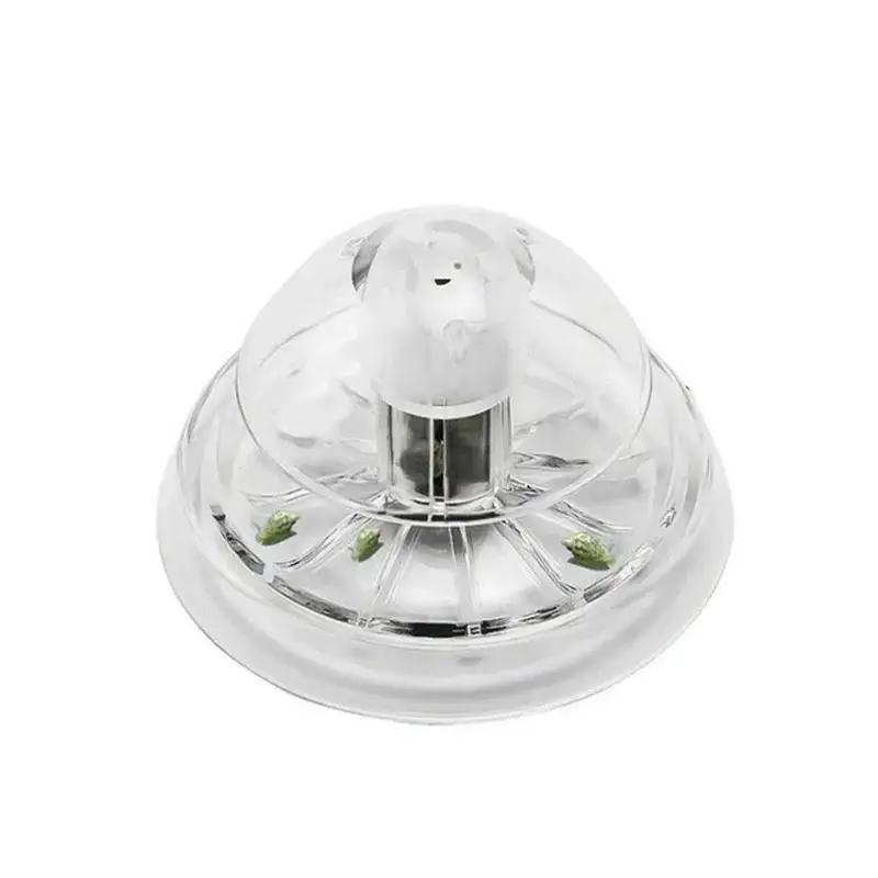 2026 New 6/8CM Clear Plastic S - Planted Aquarium With Fish 评论和价格