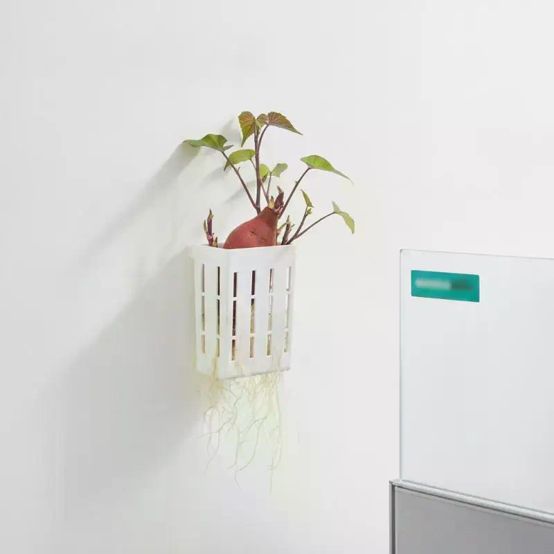 1Pcs Hydroponic Support Basket - Planted Aquarium With Fish 评论和价格