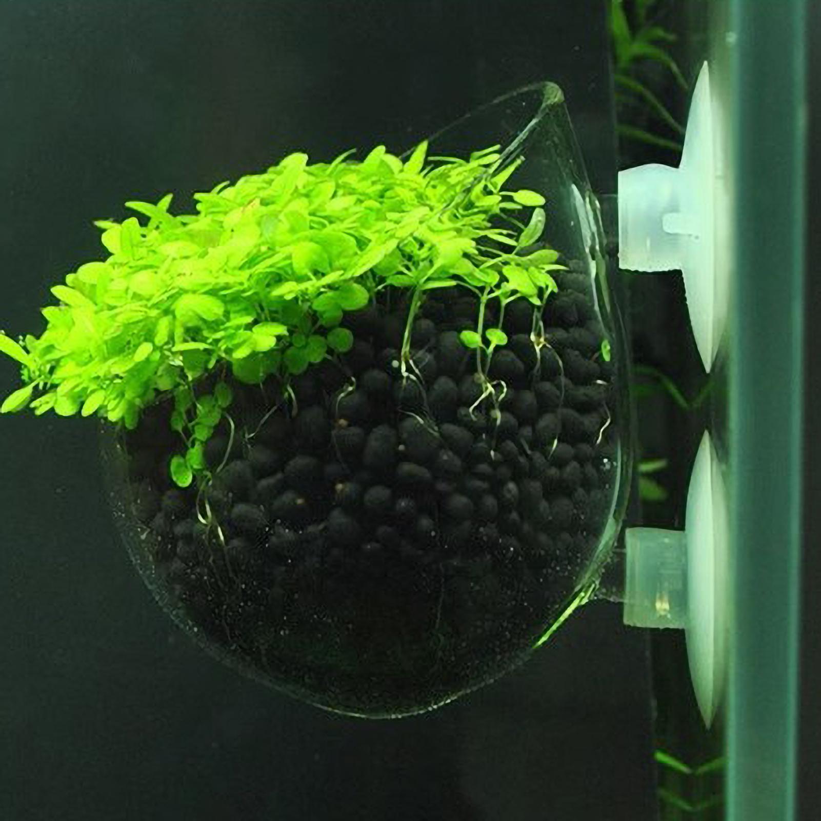 Aquarium Plant Holder Glass Aq - Aquarium Planted Tank Substrate 评论和价格