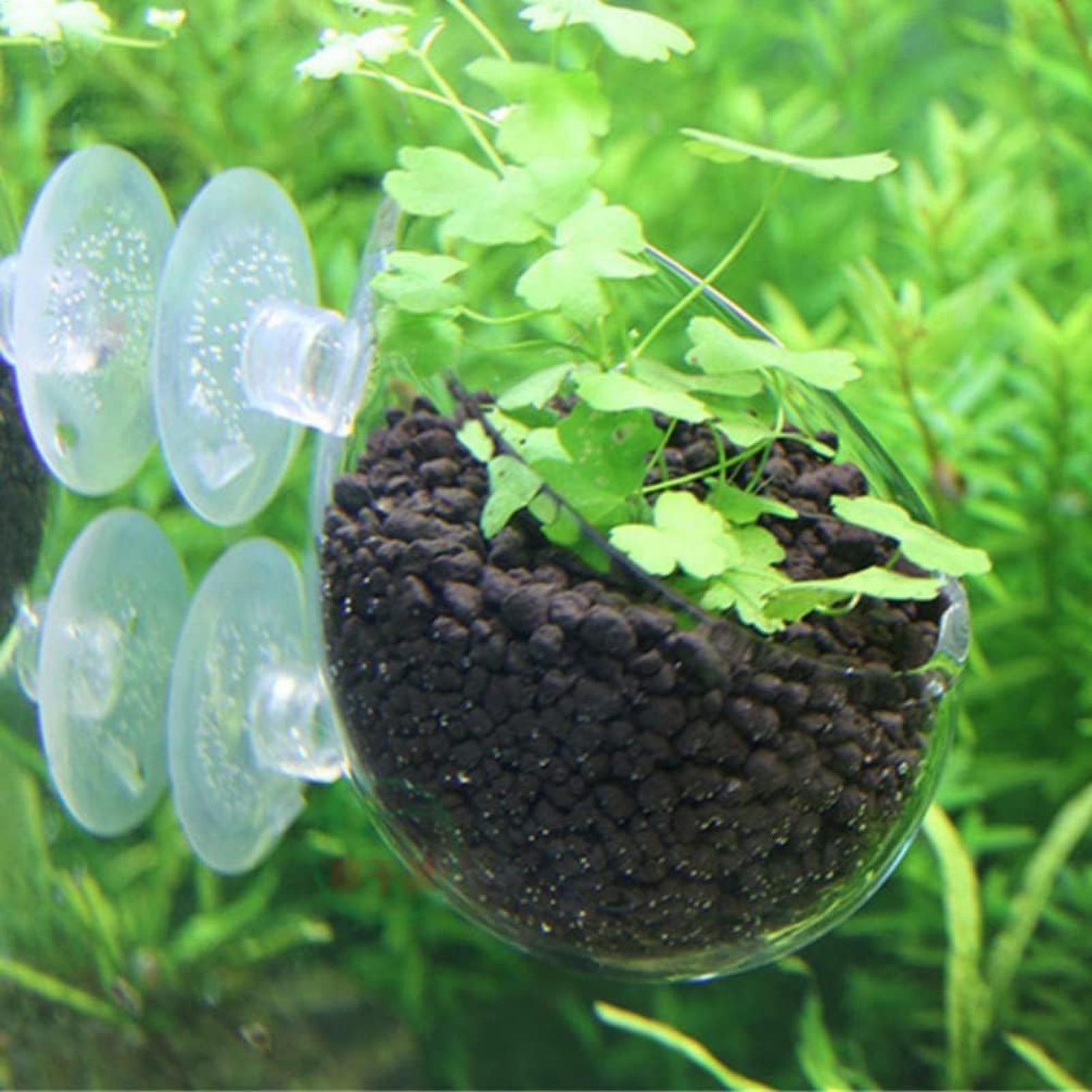 Aquarium Plant Holder Glass Aq - Aquarium Planted Tank Substrate 评论和价格