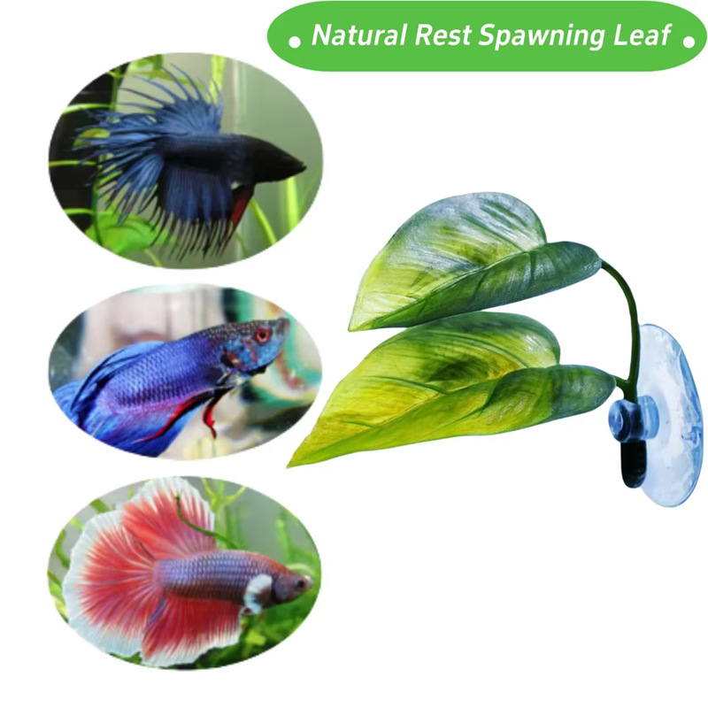 Aquarium Pet Supplies Decorati - Planted Aquarium With Fish 评论和价格