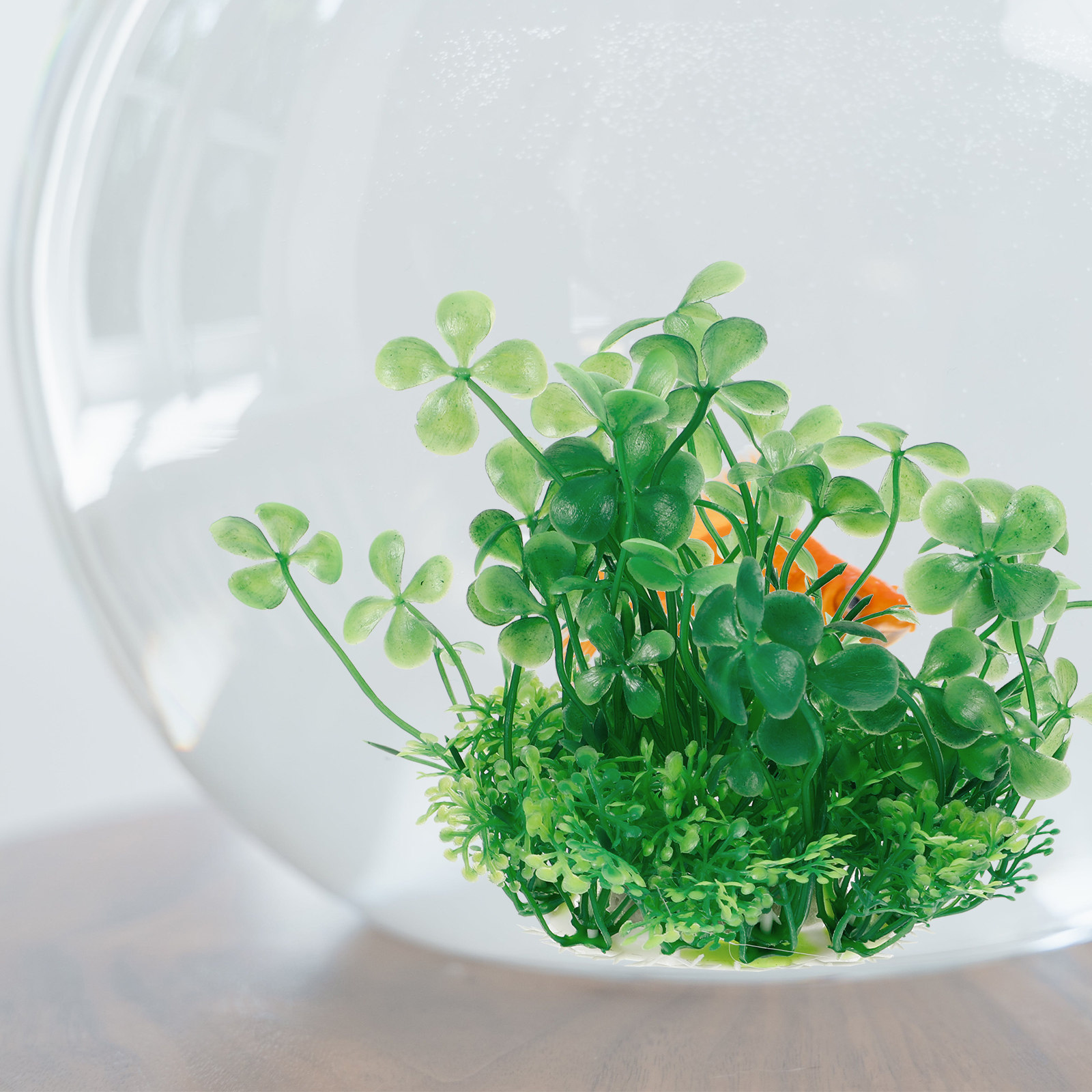 Exquisite Workmanship Plastic  - Aquarium Planted Set Up 评论和价格