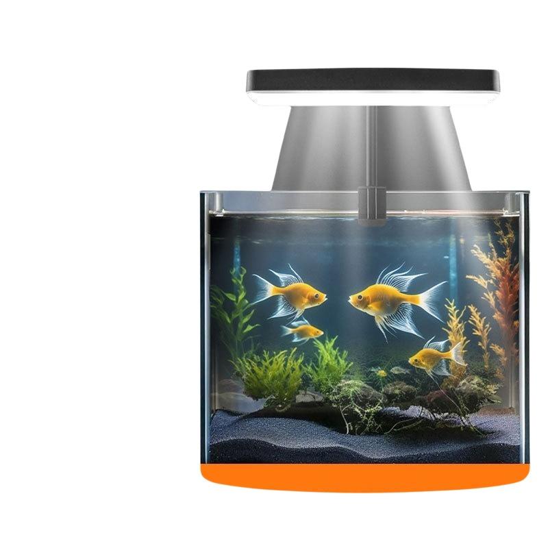 USB Aquarium Clip Light Flexib - Planted Aquarium With Fish 评论和价格