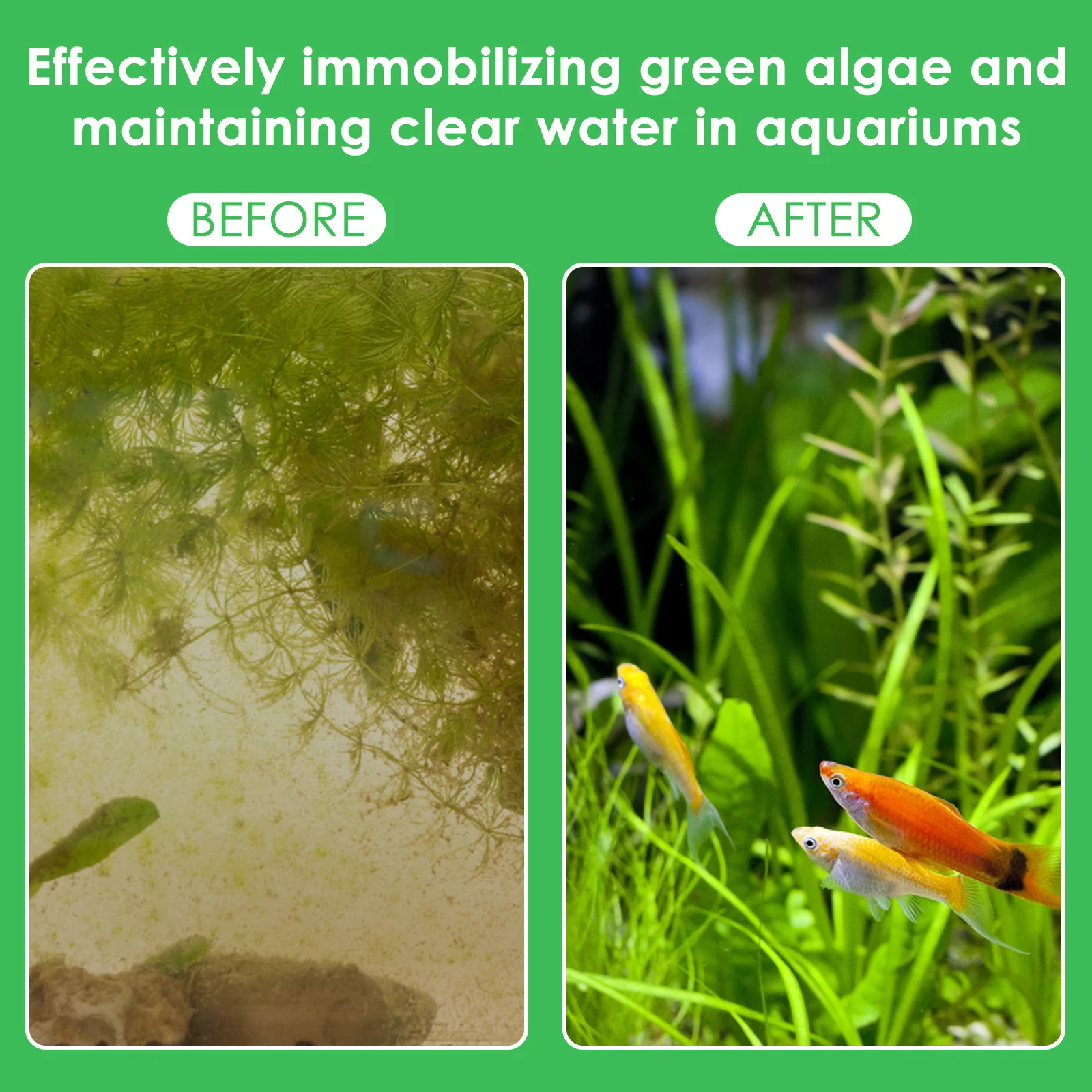 50Pcs Aquarium Plant Weights F - Aquarium Planted Tank Substrate 评论和价格