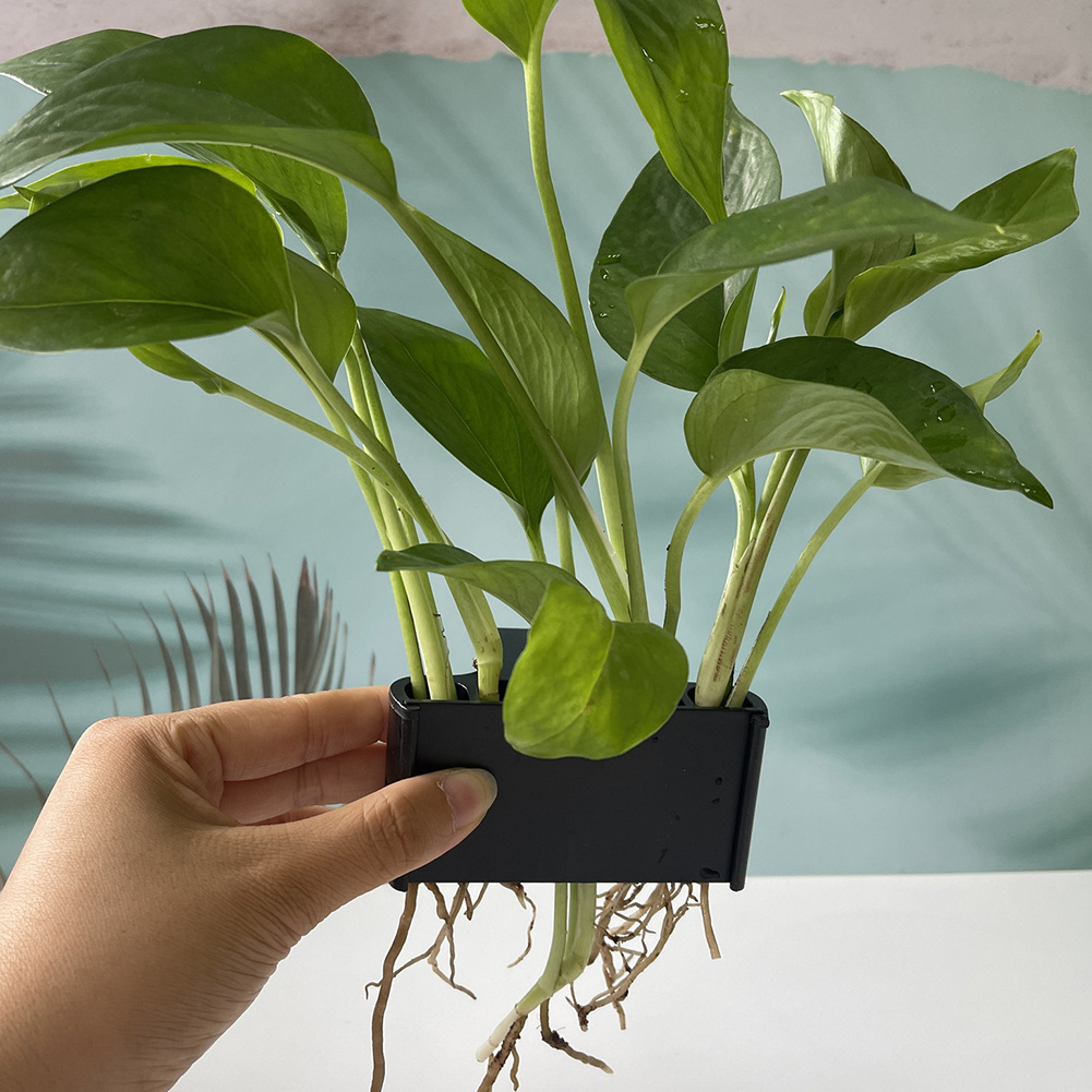 Aquarium Plant Holder with Han - Aquarium Planted Tank Substrate 评论和价格