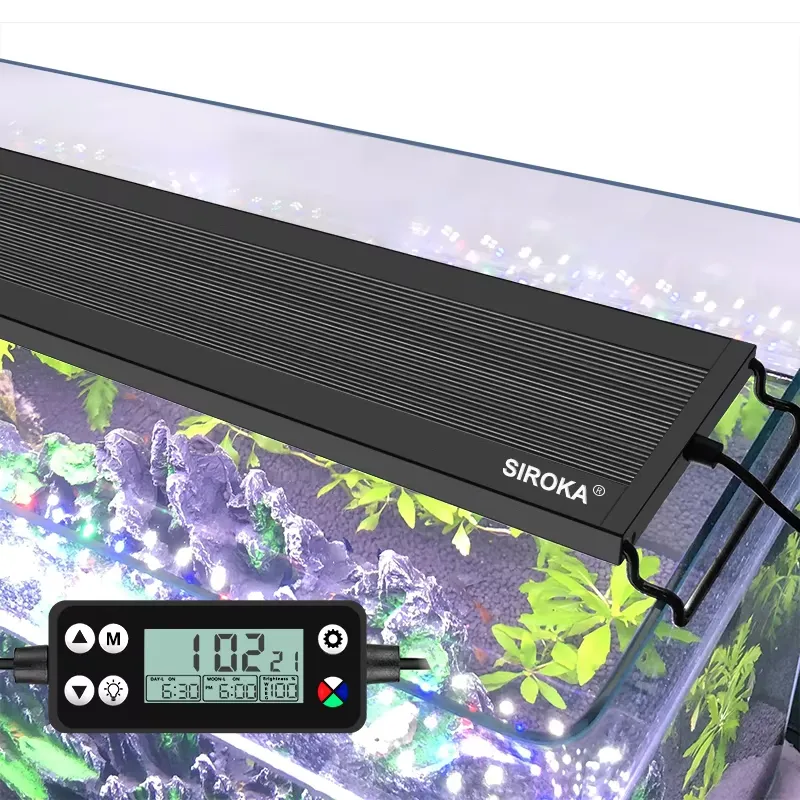 SIROKA SRK-YFT 90 cm Full Spec - Planted Aquarium With Fish 评论和价格