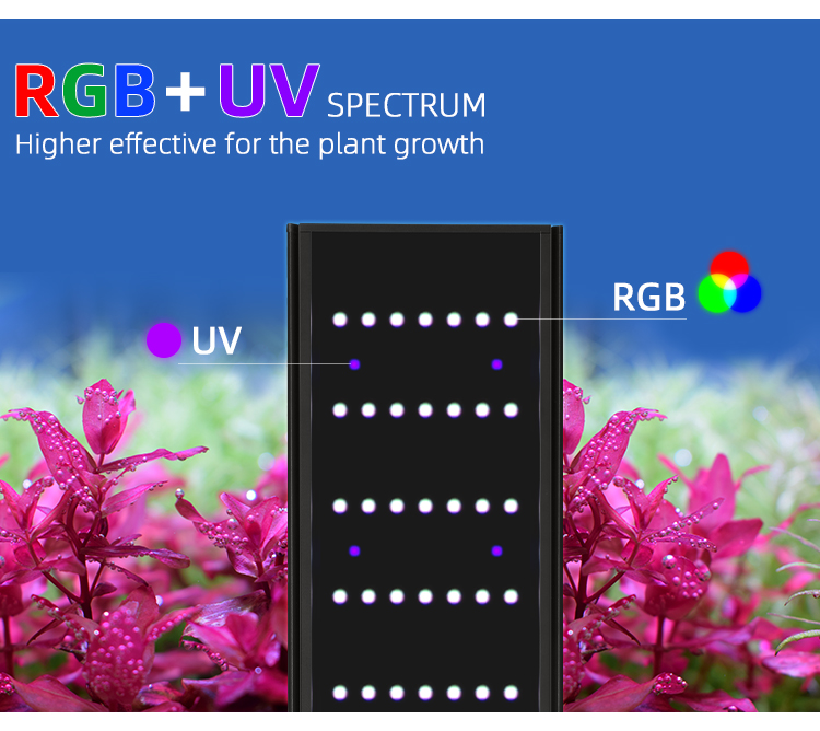 WEEK AQUA L Series APP Control - Aquarium Plant Display 评论和价格