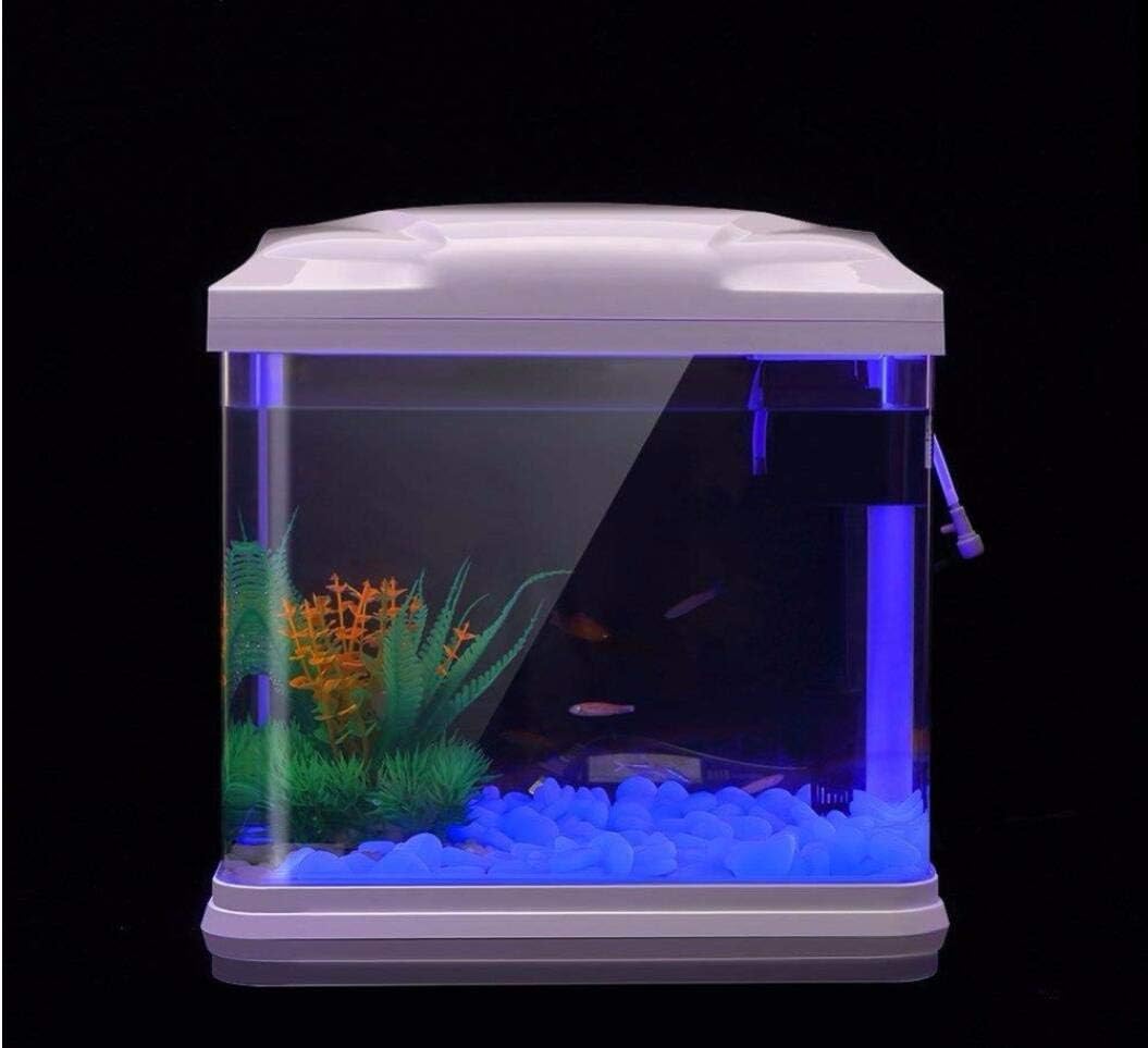 Fish Tank Rocks Glow Blue Pebb - Planted Aquarium With Fish 评论和价格