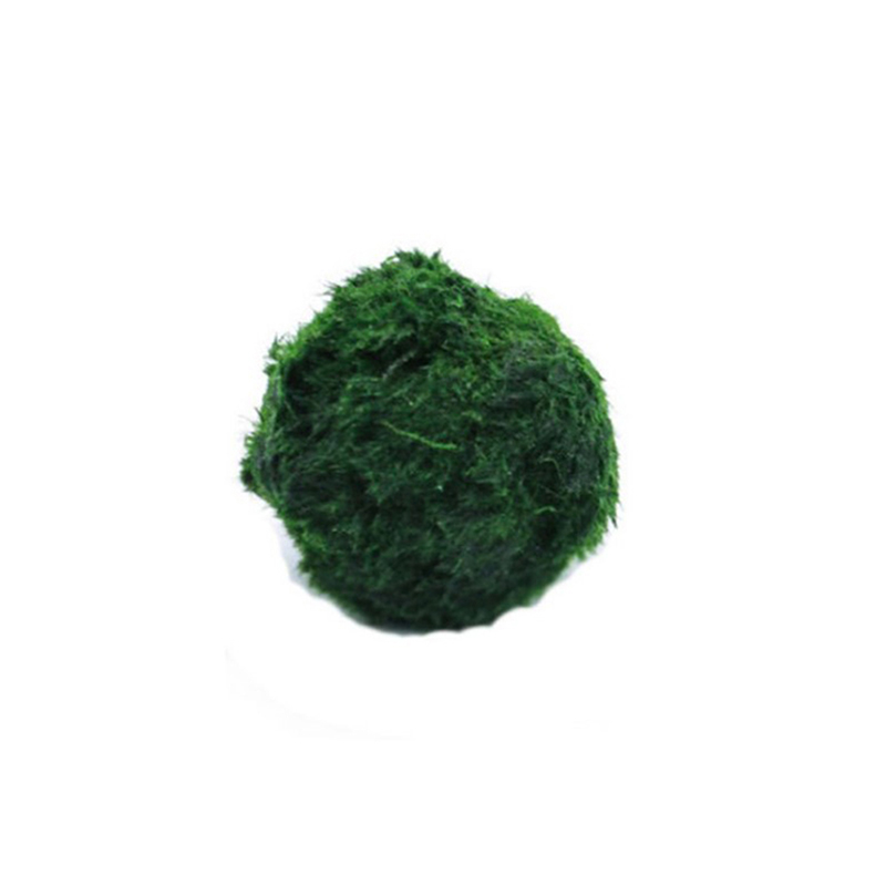 Marimo Moss Balls Live Aquariu - Aquarium Planted Tank Substrate 评论和价格