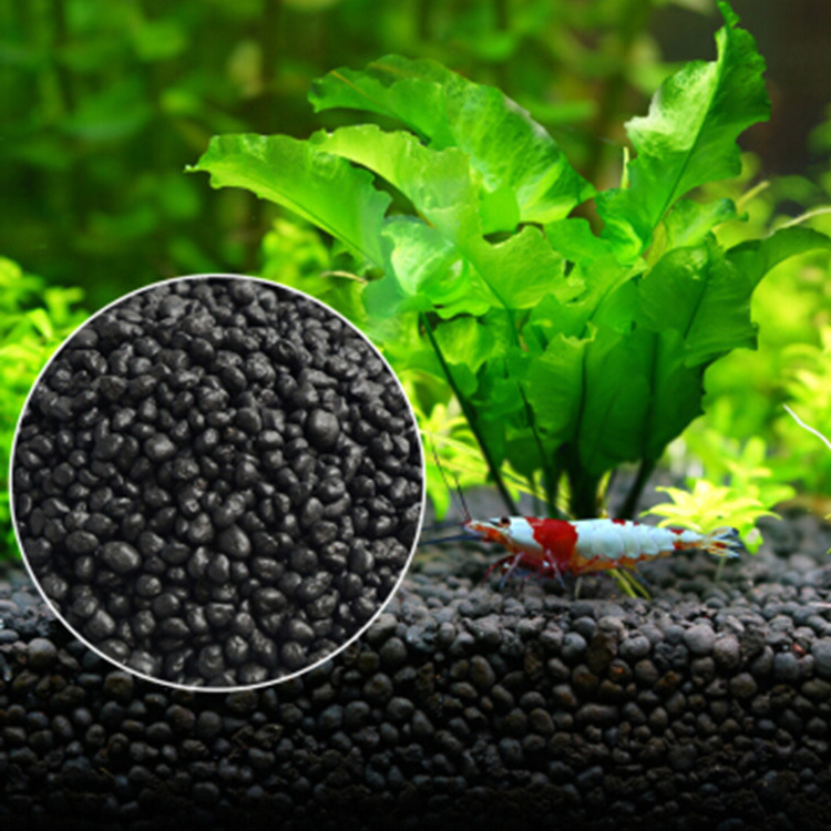 Aquarium Plant Seeds Soil Fish - Planted Aquarium With Fish 评论和价格