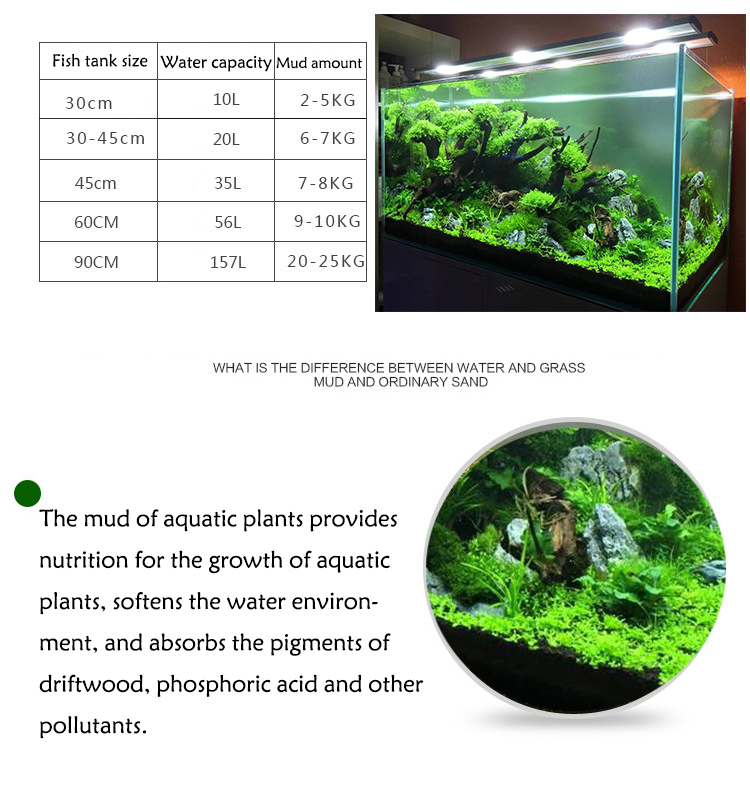 Aquarium Plant Seeds Soil Fish - Planted Aquarium With Fish 评论和价格
