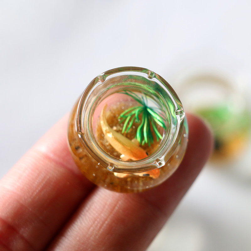1Pc 1:12 Mini DollHouse Simula - Planted Aquarium Photos 评论和价格