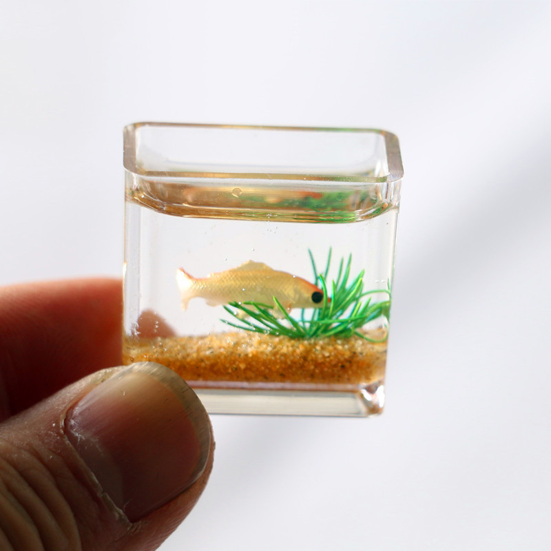 1Pc 1:12 Mini DollHouse Simula - Planted Aquarium Photos 评论和价格
