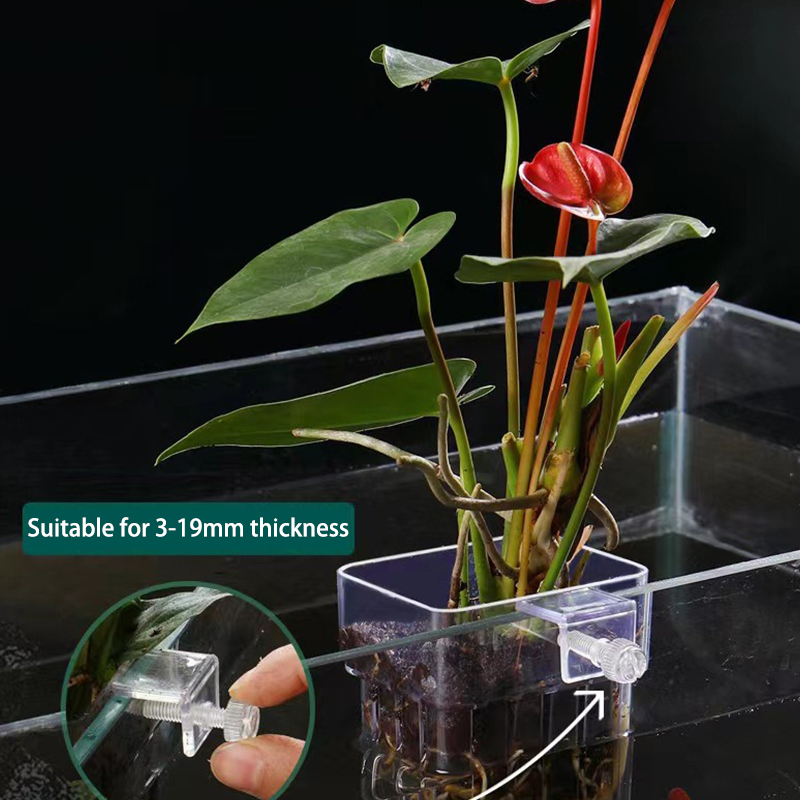 Multifunctional Fish Aquarium  - Planted Aquarium With Fish 评论和价格
