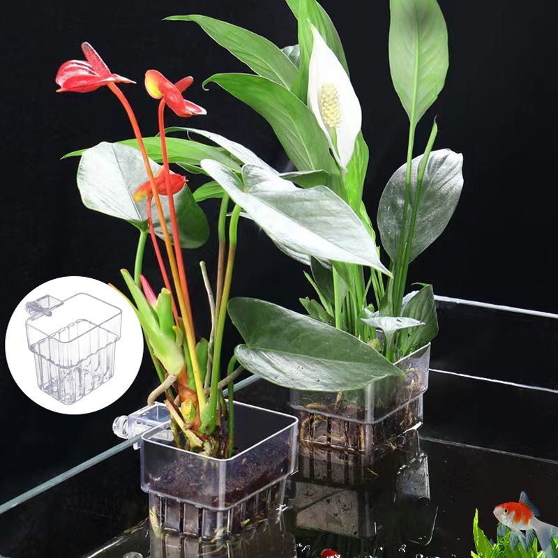 Multifunctional Fish Aquarium  - Planted Aquarium With Fish 评论和价格