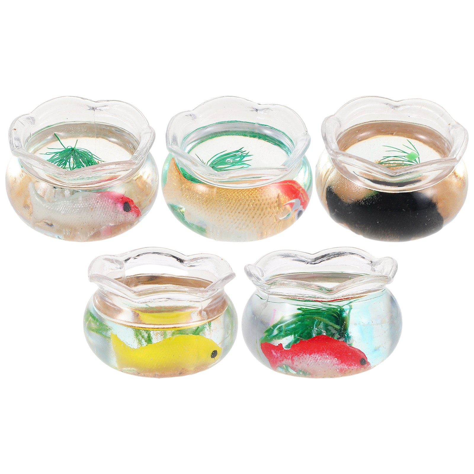 5Pcs Miniature Fish Bowl Small - Planted Aquarium With Fish 评论和价格